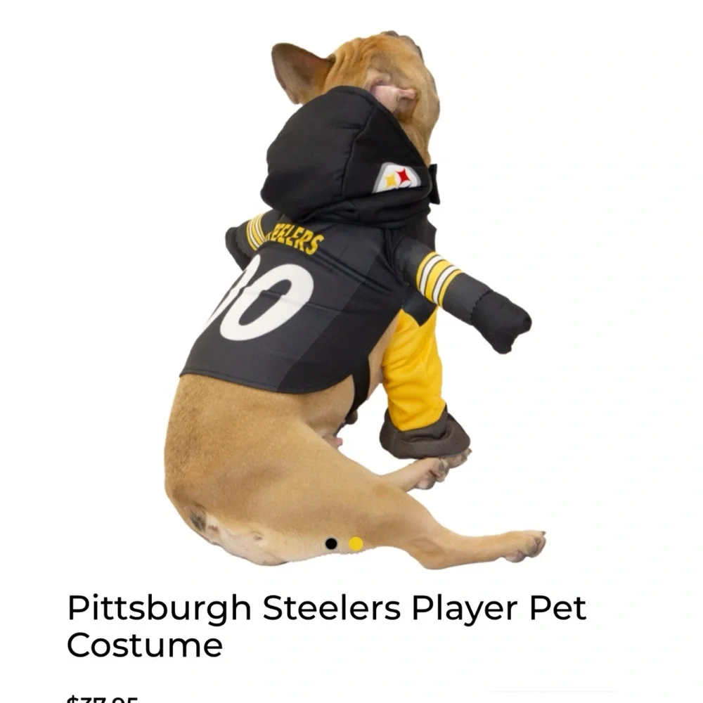 Pittsburgh Steelers Player Pet Costume Sz Small - Picture 2 of 2